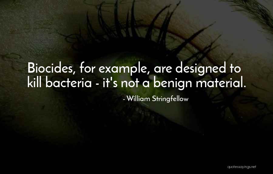 Focus On Strengths Not Weaknesses Quotes By William Stringfellow Focus On Strengths Not Weaknesses Quotes By William Stringfellow