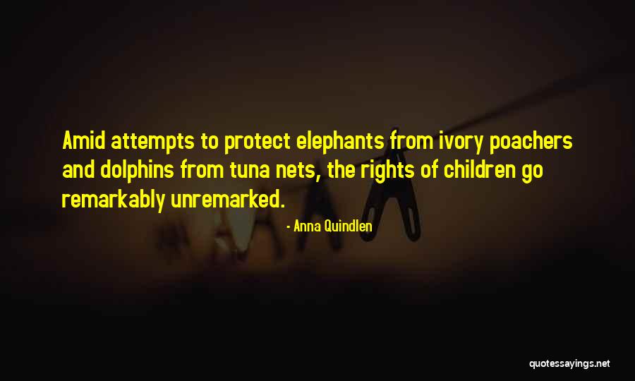 Focus The Oculory Quotes By Anna Quindlen Focus The Oculory Quotes By Anna Quindlen