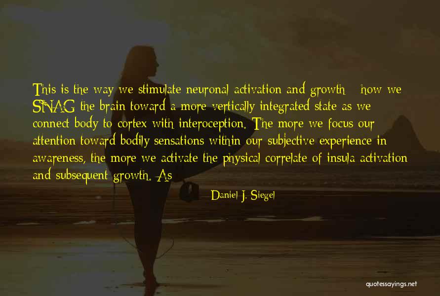 Focus Within Quotes By Daniel J. Siegel Focus Within Quotes By Daniel J. Siegel