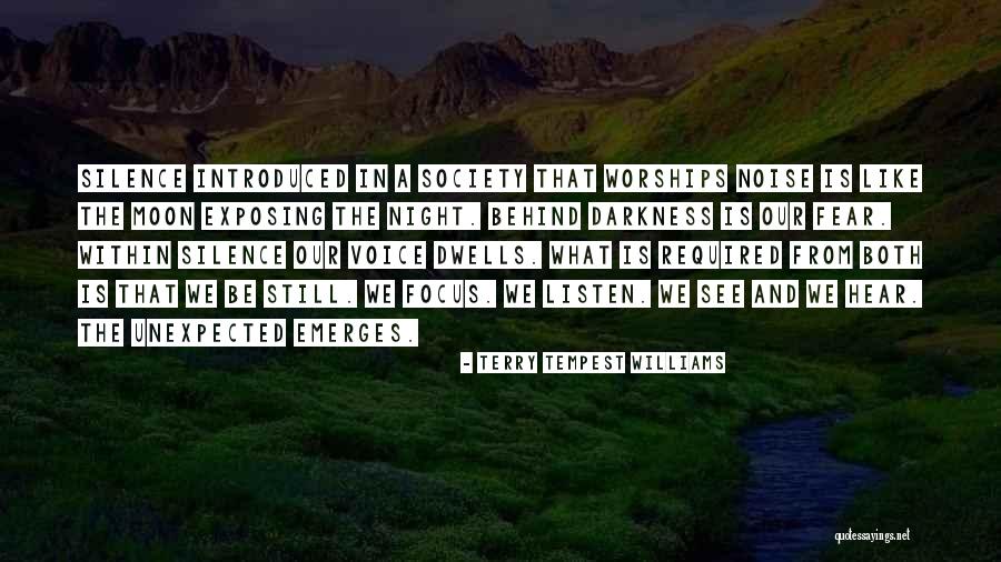 Focus Within Quotes By Terry Tempest Williams Focus Within Quotes By Terry Tempest Williams