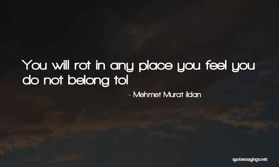 Focuser Png Quotes By Mehmet Murat Ildan Focuser Png Quotes By Mehmet Murat Ildan