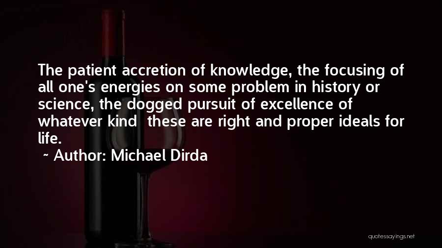 Focusing On Life Quotes By Michael Dirda