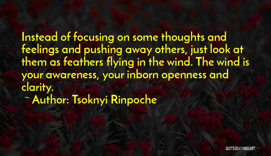 Focusing On Others Quotes By Tsoknyi Rinpoche