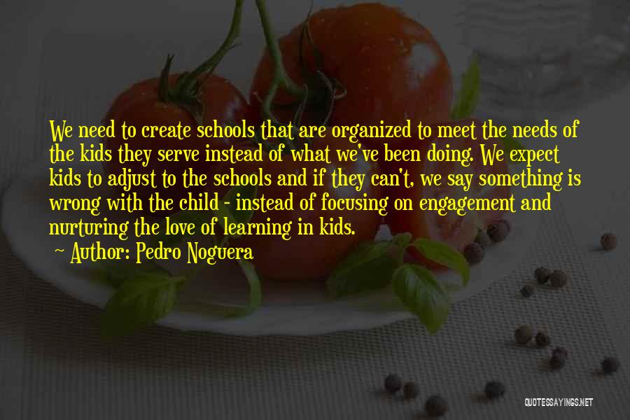 Focusing On School Quotes By Pedro Noguera