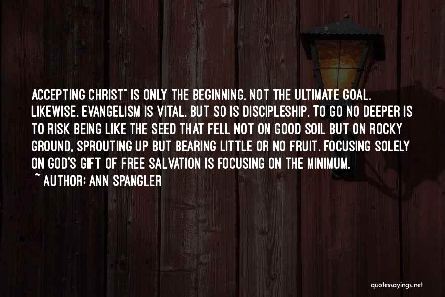 Focusing On The Little Things Quotes By Ann Spangler