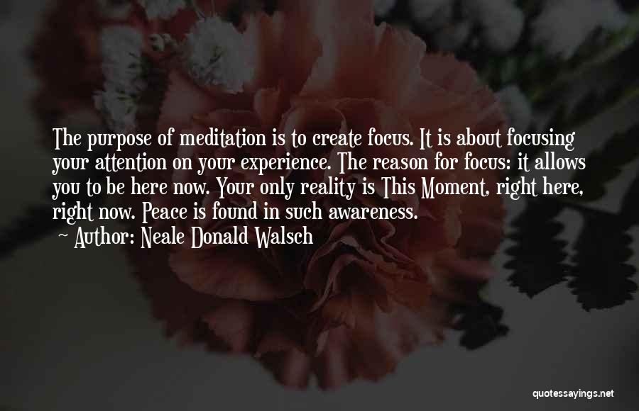 Focusing On The Right Things Quotes By Neale Donald Walsch