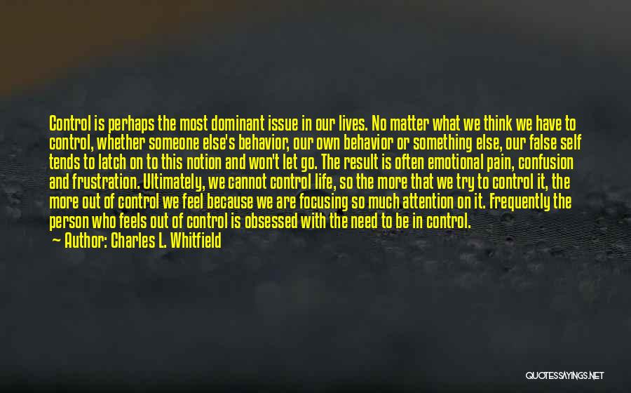 Focusing On Things That Matter Quotes By Charles L. Whitfield