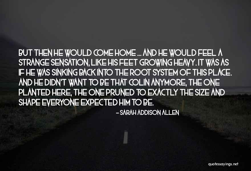 Focussed Spelling Quotes By Sarah Addison Allen Focussed Spelling Quotes By Sarah Addison Allen