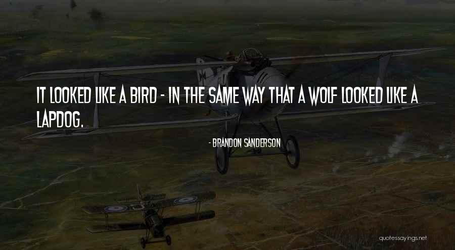 Foellinger Quotes By Brandon Sanderson Foellinger Quotes By Brandon Sanderson