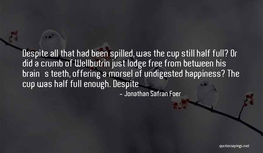 Foer Quotes By Jonathan Safran Foer Foer Quotes By Jonathan Safran Foer