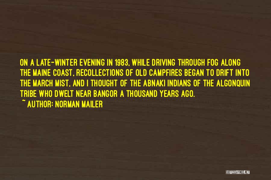 Fog And Mist Quotes By Norman Mailer