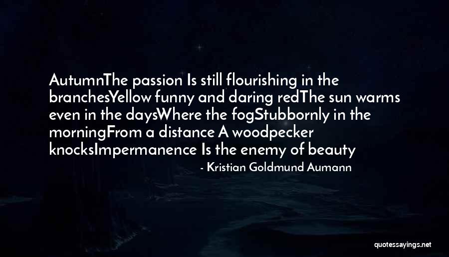 Fog And Sun Quotes By Kristian Goldmund Aumann Fog And Sun Quotes By Kristian Goldmund Aumann