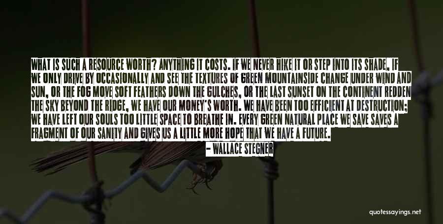 Fog And Sun Quotes By Wallace Stegner Fog And Sun Quotes By Wallace Stegner