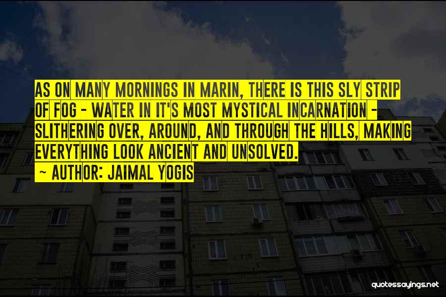 Fog In The Morning Quotes By Jaimal Yogis