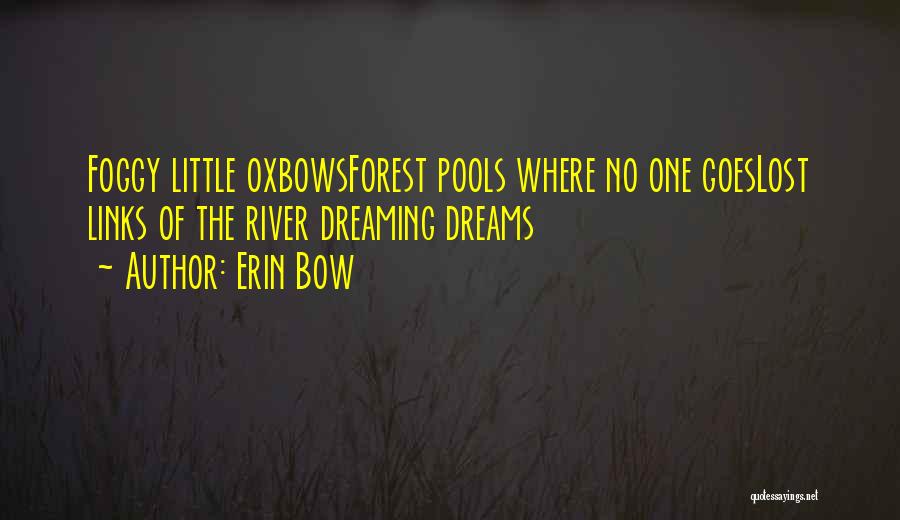 Foggy Forest Quotes By Erin Bow