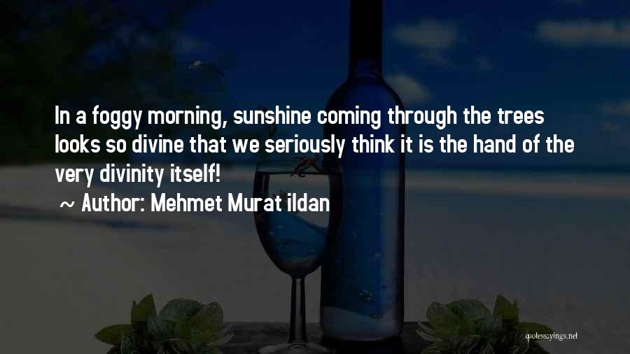 Foggy Morning Quotes By Mehmet Murat Ildan