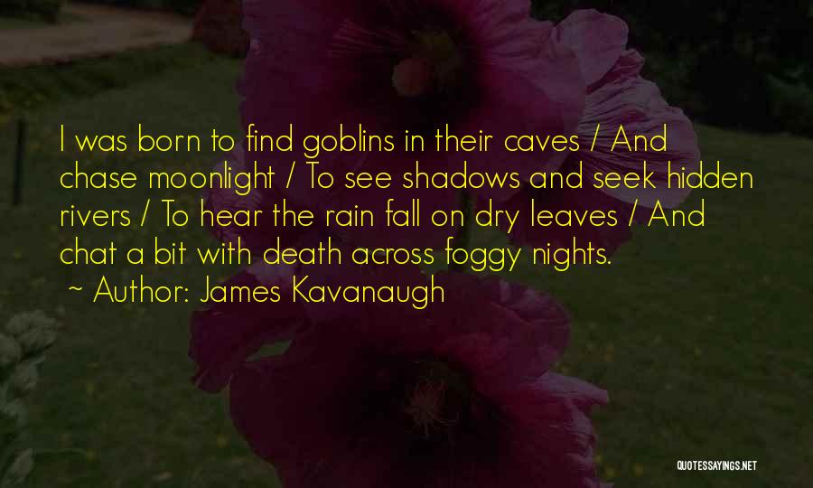 Foggy Nights Quotes By James Kavanaugh