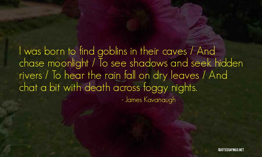 Foggy Nights Quotes By James Kavanaugh