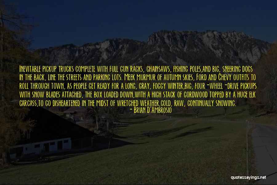 Foggy Weather Quotes By Brian D'Ambrosio Foggy Weather Quotes By Brian D'Ambrosio