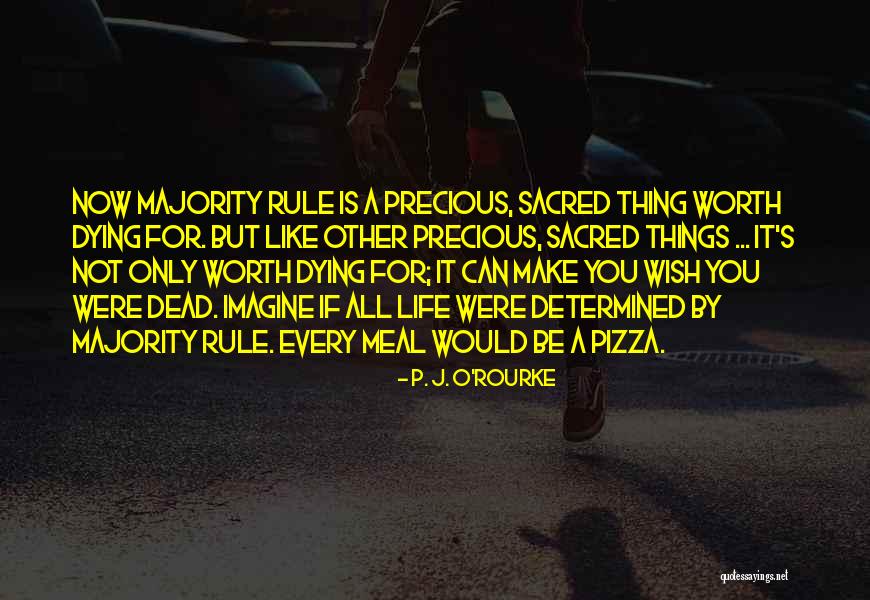 Fogyaszt Si Quotes By P. J. O'Rourke