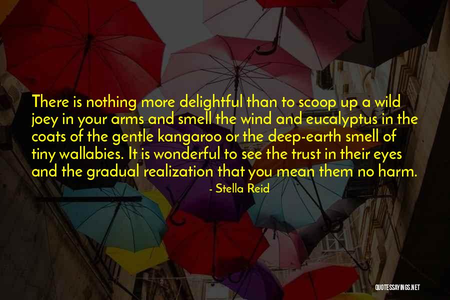 Foil Characters Quotes By Stella Reid Foil Characters Quotes By Stella Reid
