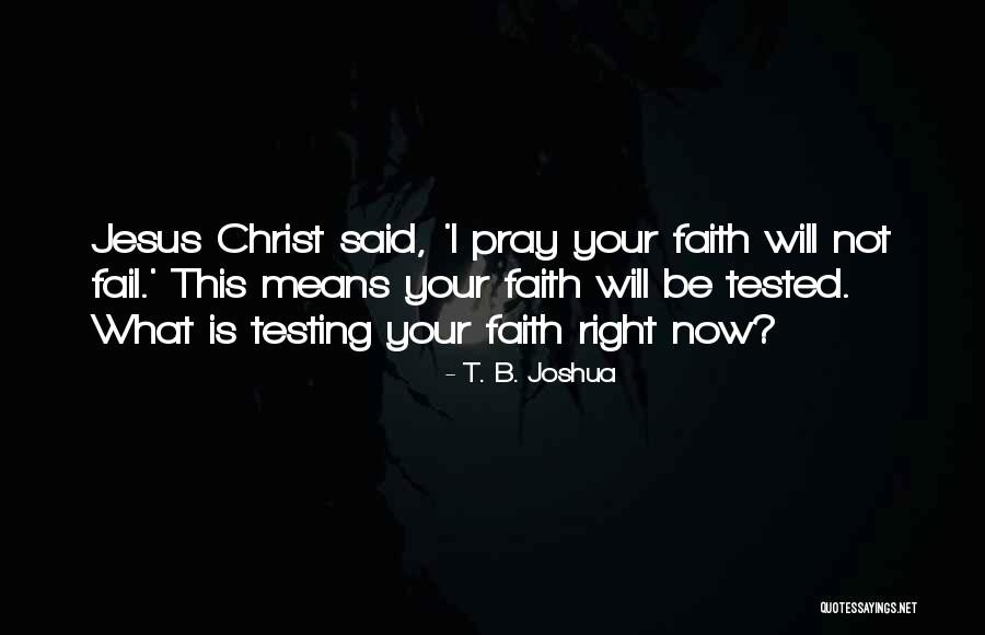 Foil Characters Quotes By T. B. Joshua Foil Characters Quotes By T. B. Joshua