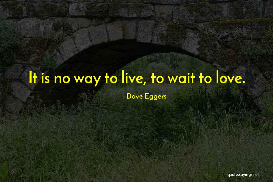 Foix Castle Quotes By Dave Eggers