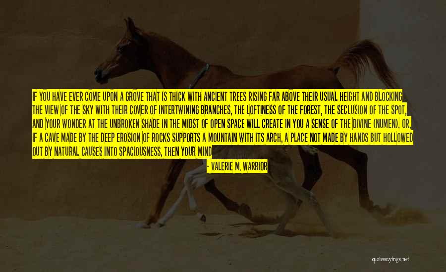 Folami Of Chic Quotes By Valerie M. Warrior Folami Of Chic Quotes By Valerie M. Warrior