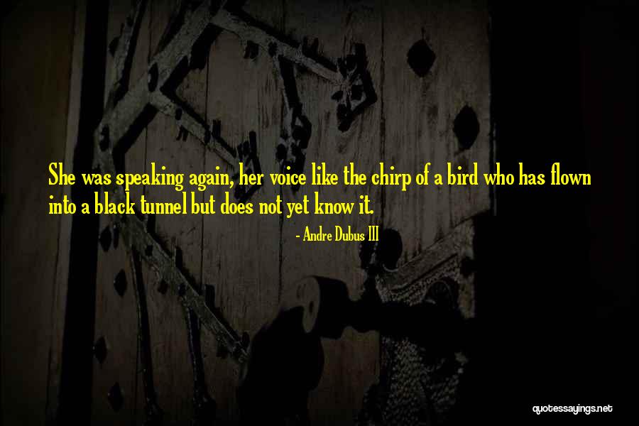 Folami Wig Quotes By Andre Dubus III Folami Wig Quotes By Andre Dubus III