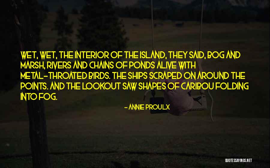 Folding Quotes By Annie Proulx