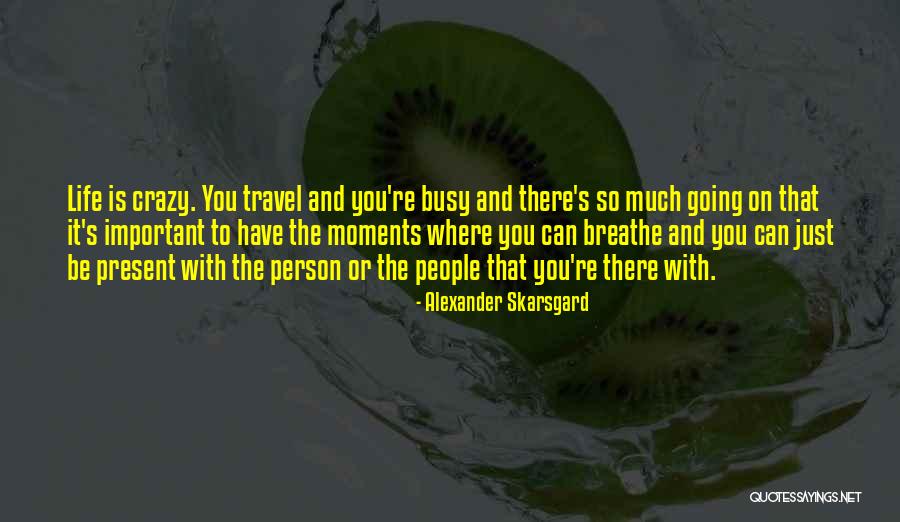 Folhetos Pingo Quotes By Alexander Skarsgard Folhetos Pingo Quotes By Alexander Skarsgard