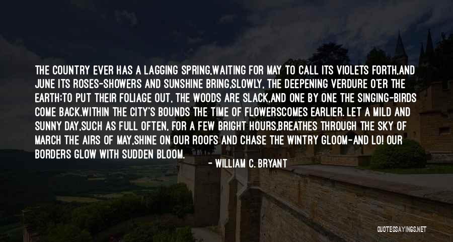 Foliage Quotes By William C. Bryant