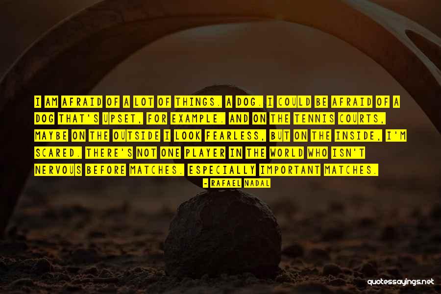 Folkestad Public Affairs Quotes By Rafael Nadal Folkestad Public Affairs Quotes By Rafael Nadal