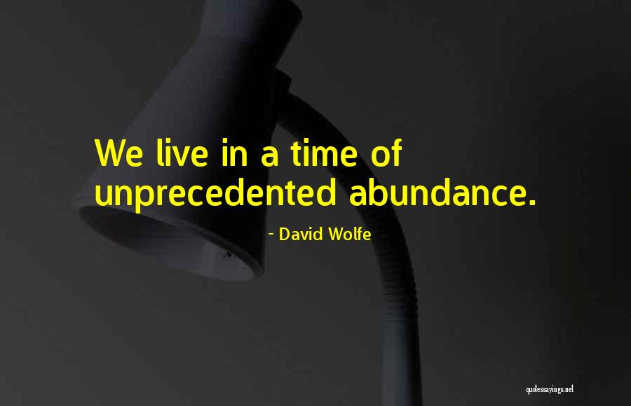Folklife Center Quotes By David Wolfe