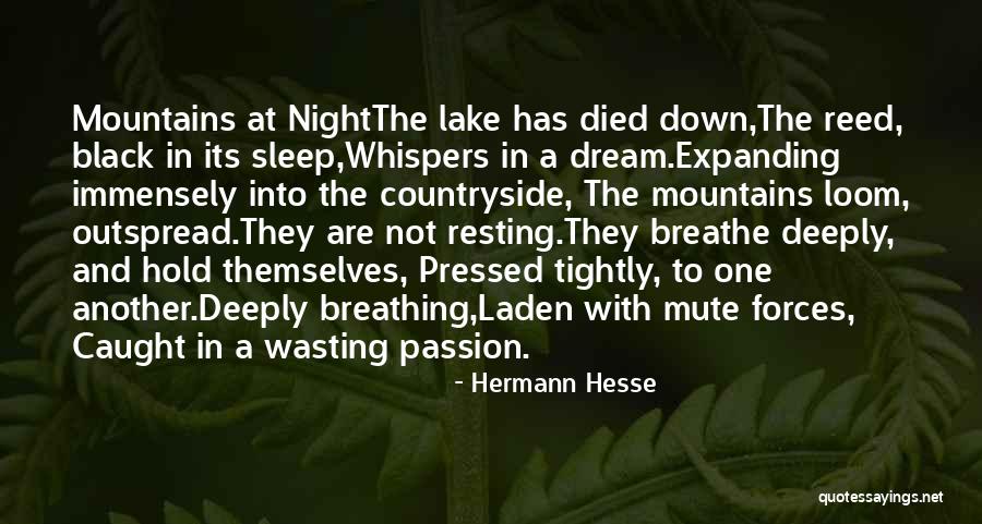 Folletos Para Quotes By Hermann Hesse Folletos Para Quotes By Hermann Hesse