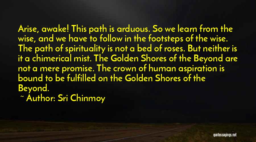 Follow In The Footsteps Quotes By Sri Chinmoy