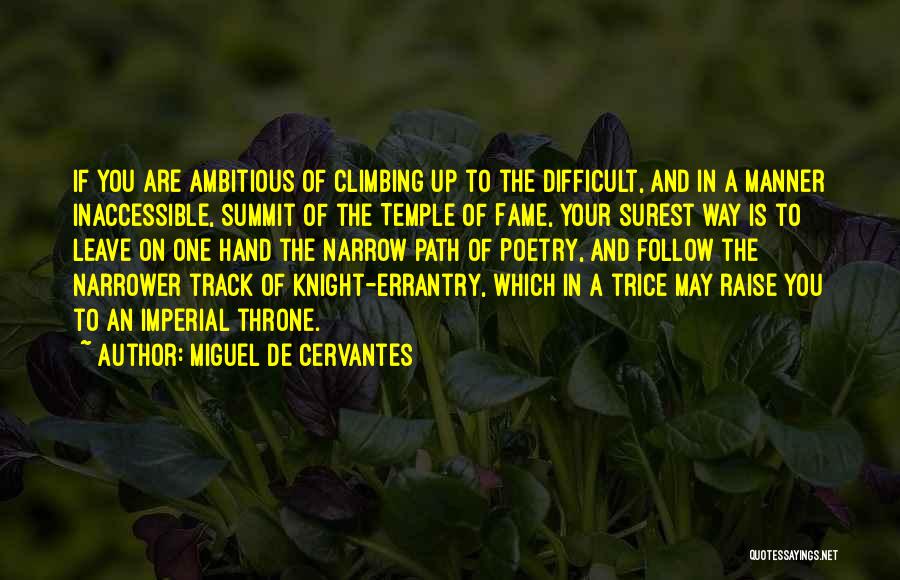 Follow Quotes By Miguel De Cervantes