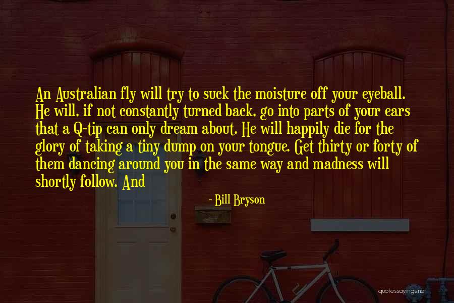Follow The Dream Quotes By Bill Bryson