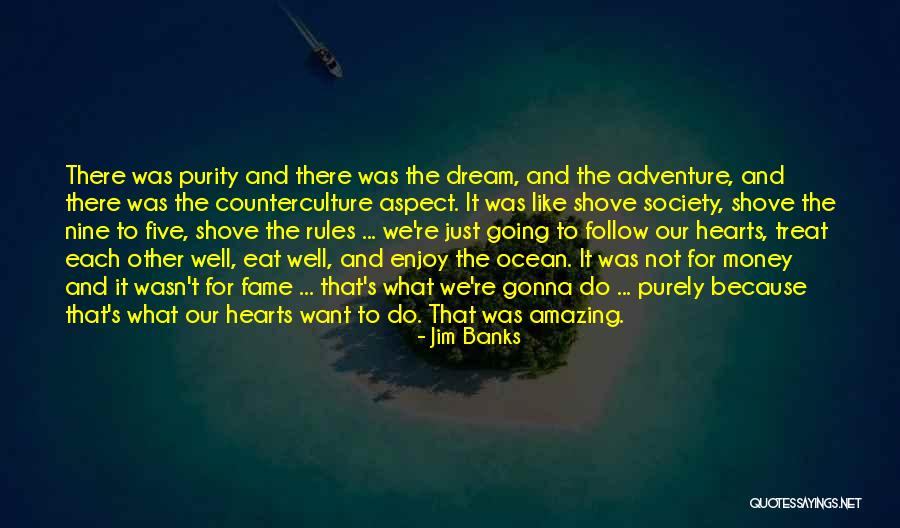 Follow The Dream Quotes By Jim Banks
