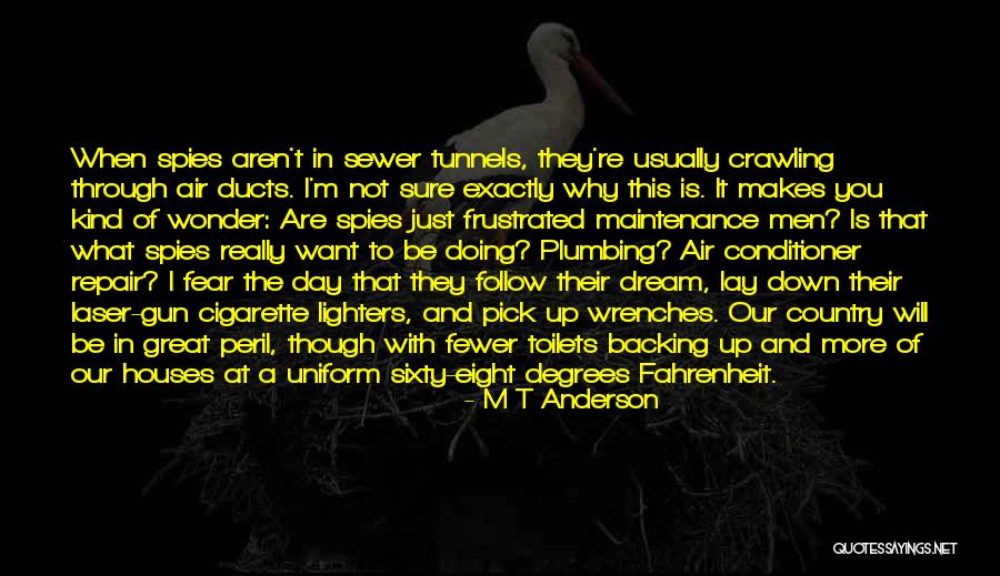 Follow The Dream Quotes By M T Anderson