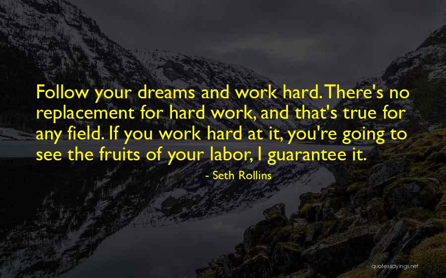 Follow The Dream Quotes By Seth Rollins