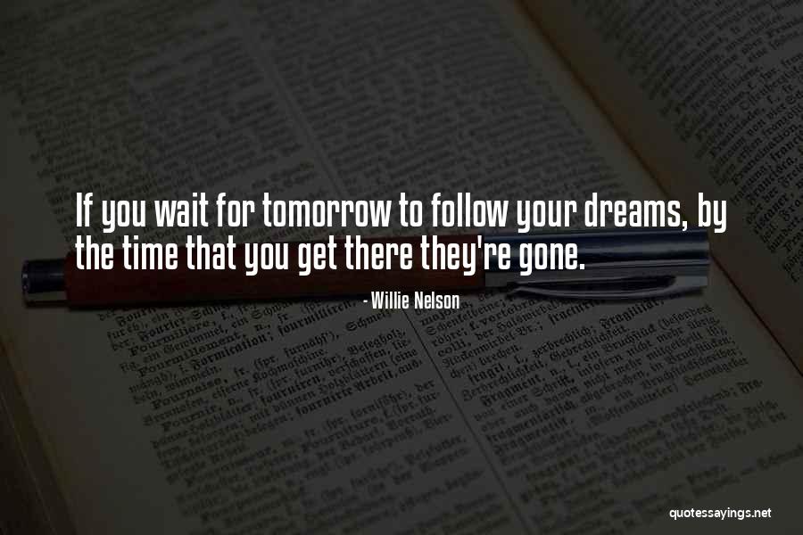 Follow The Dream Quotes By Willie Nelson