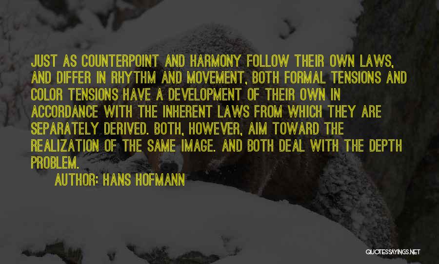 Follow The Law Quotes By Hans Hofmann