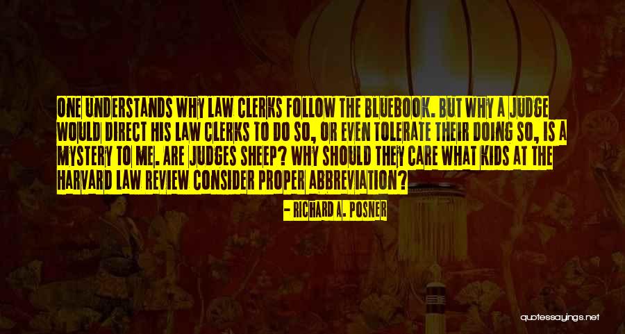 Follow The Law Quotes By Richard A. Posner