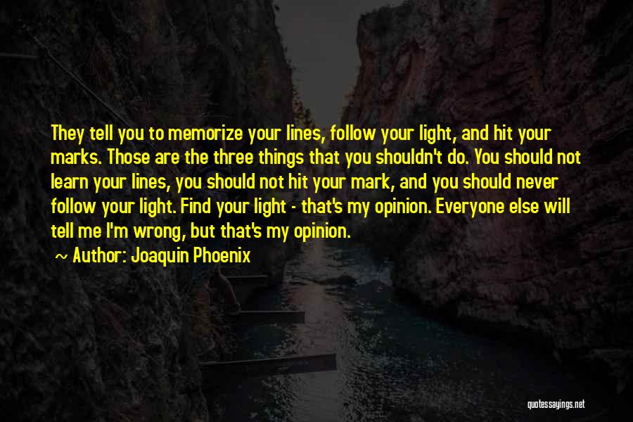 Follow The Light Quotes By Joaquin Phoenix