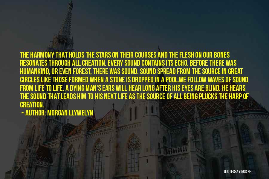 Follow The Stars Quotes By Morgan Llywelyn