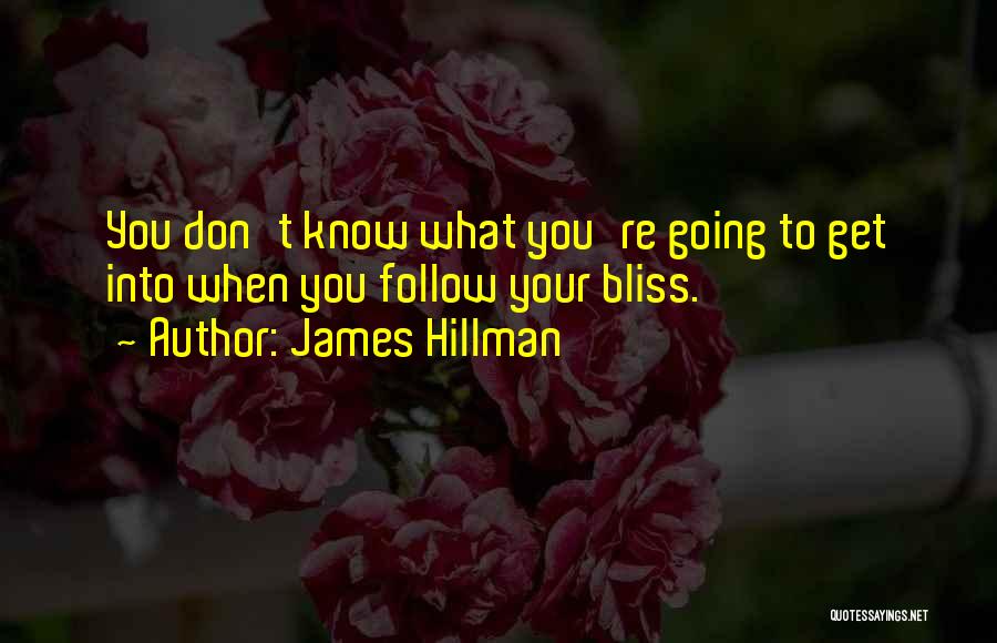 Follow Your Bliss Quotes By James Hillman