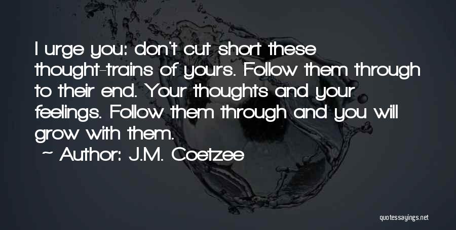 Follow Your Feelings Quotes By J.M. Coetzee