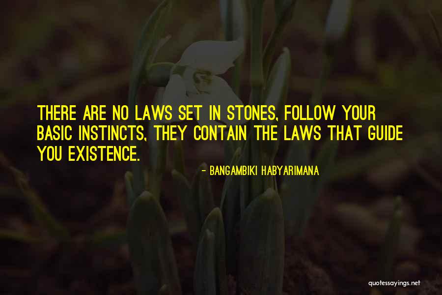 Follow Your Instincts Quotes By Bangambiki Habyarimana Follow Your Instincts Quotes By Bangambiki Habyarimana