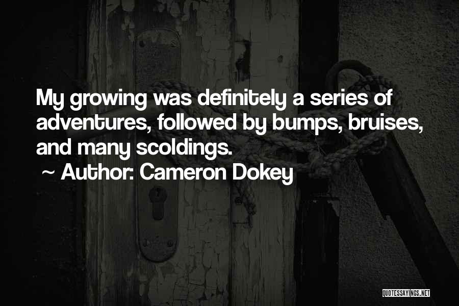 Followed Quotes By Cameron Dokey